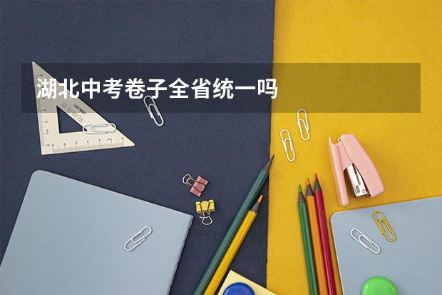 湖北中考卷子全省统一吗