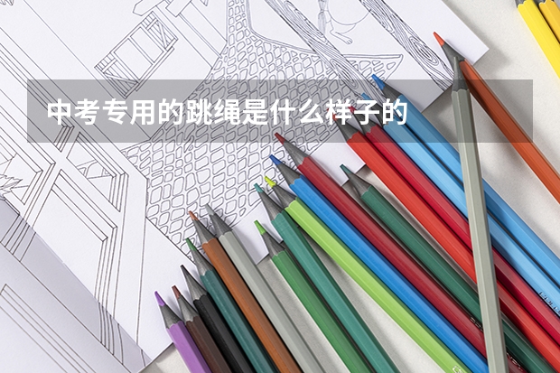 中考专用的跳绳是什么样子的
