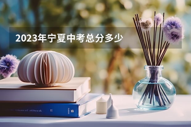 2023年宁夏中考总分多少
