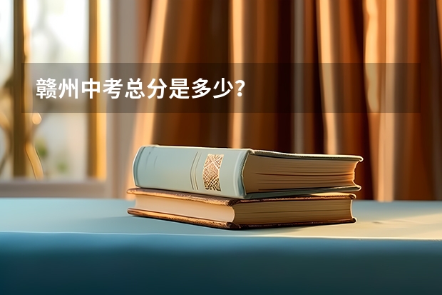 赣州中考总分是多少？