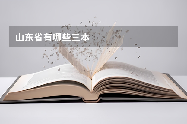 山东省有哪些三本