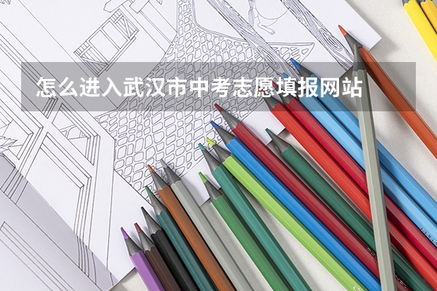 怎么进入武汉市中考志愿填报网站