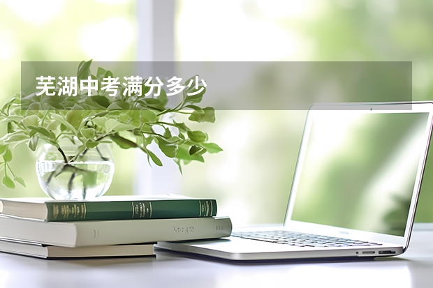芜湖中考满分多少