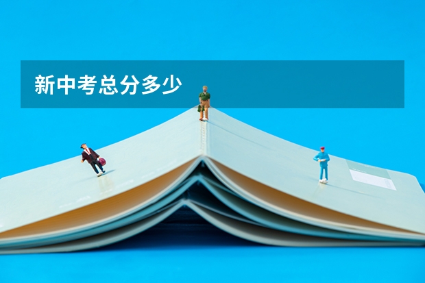 新中考总分多少