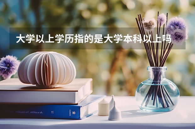大学以上学历指的是大学本科以上吗