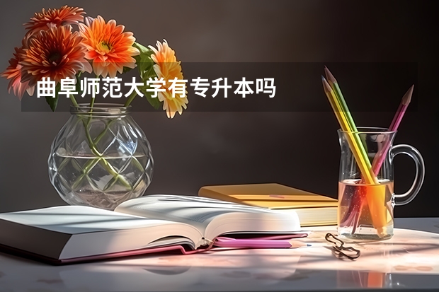 曲阜师范大学有专升本吗