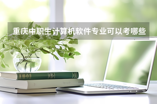 重庆中职生计算机软件专业可以考哪些本科大学
