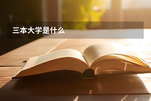 三本大学是什么