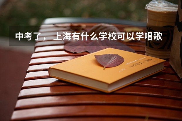 中考了, 上海有什么学校可以学唱歌跳舞