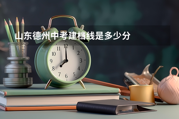 山东德州中考建档线是多少分